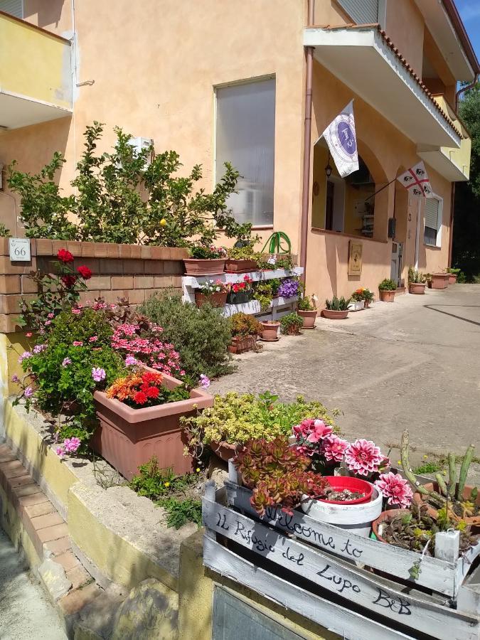 B&B Il Rifugio Del Lupo - E6721 Paringianu 외부 사진